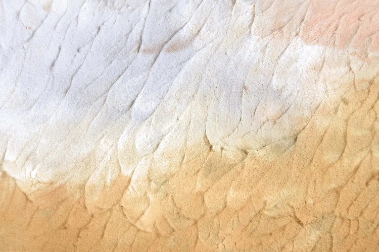 Textured Art by Whales Way wall art
