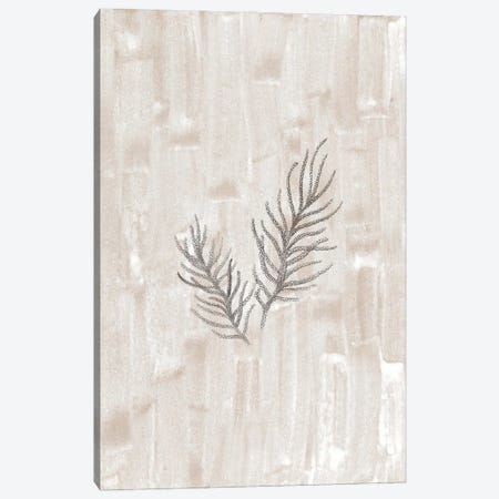 Neutral fir-needle Canvas Print #WWY218} by Whales Way Canvas Artwork