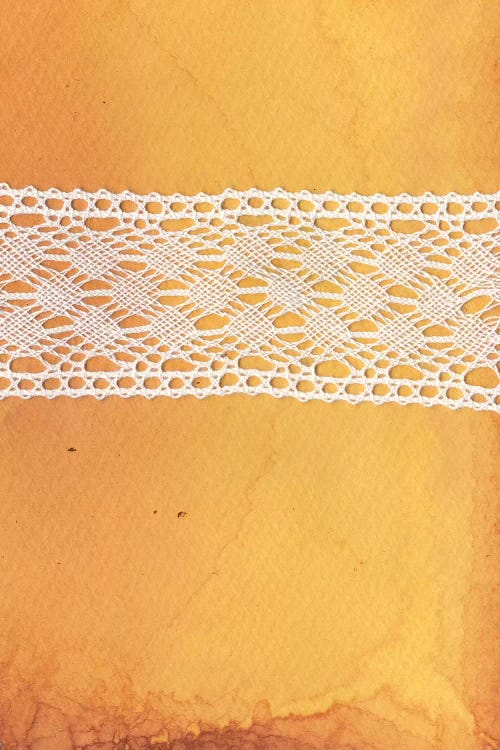 Mustard And Lace by Whales Way wall art