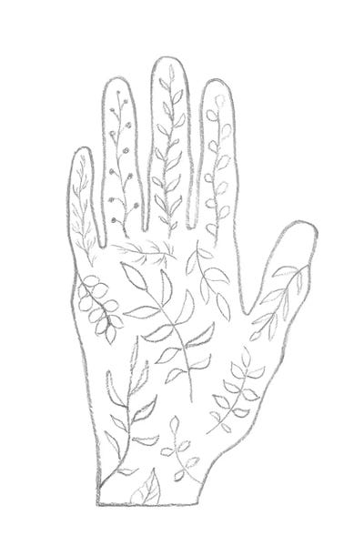 Line Art Botanical Hand by Whales Way multi panel art