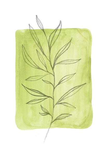 Olive Leaves by Whales Way gallery poster