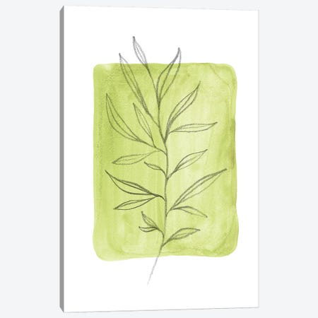 Olive Leaves Canvas Print #WWY45} by Whales Way Canvas Art Print
