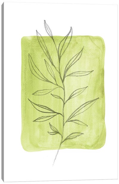 Olive Leaves Canvas Art Print - Olive Tree Art