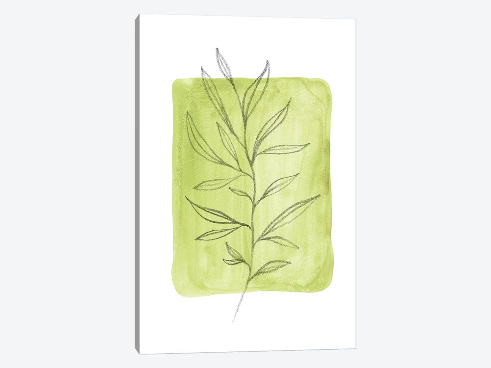 Olive Leaves by Whales Way 1-piece Canvas Artwork