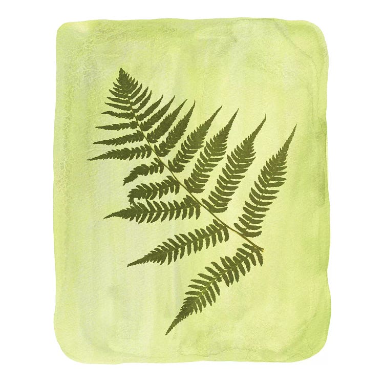 Watercolor Fern