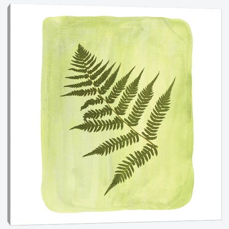 Watercolor Fern Canvas Print #WWY54} by Whales Way Canvas Wall Art