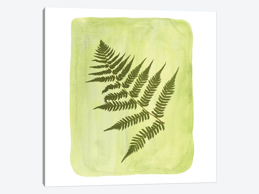 Watercolor Fern by Whales Way 1-piece Canvas Art