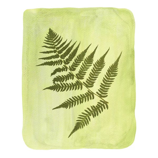 Whales Way: Watercolor Fern by Whales Way