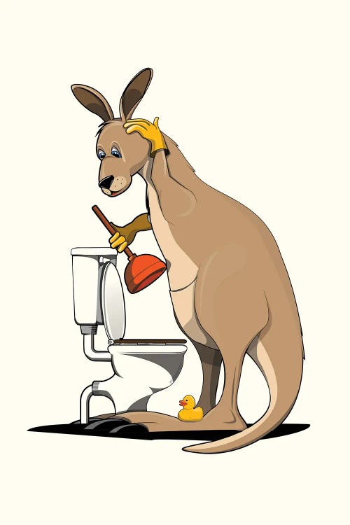 Kangaroo Cleaning Toilet