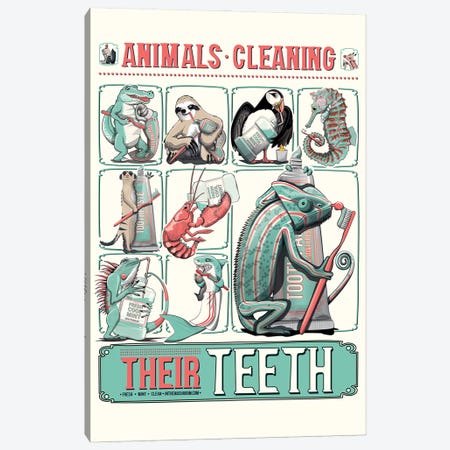 Animals Cleaning Their Teeth, Bathroom Poster Canvas Print #WYD198} by WyattDesign Canvas Wall Art