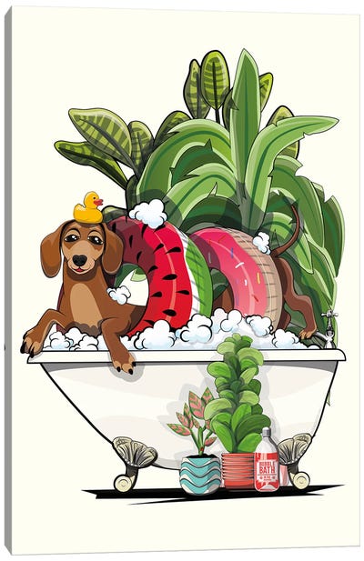 Sausage Dog, Dachshund In The Bathtub Canvas Art Print - WyattDesign