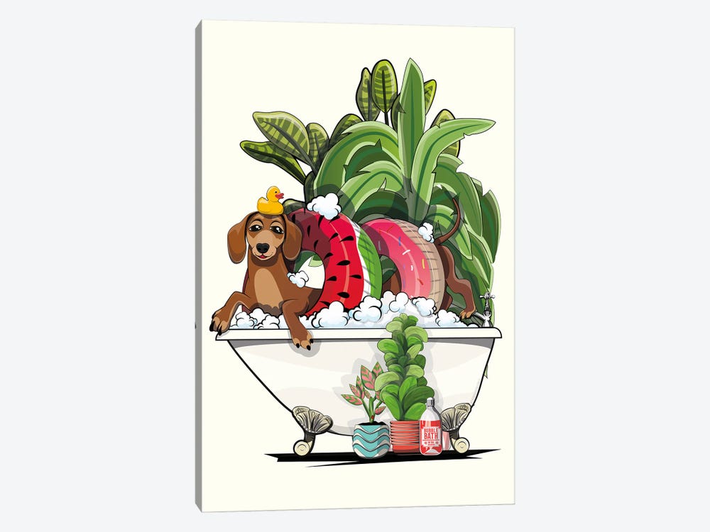 Sausage Dog, Dachshund In The Bathtub by WyattDesign 1-piece Canvas Art Print