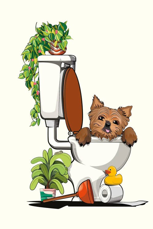 Yorkshire Terrier Dog In The Toilet