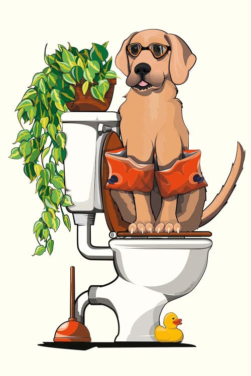 Labrador Dog Sitting On The Toilet