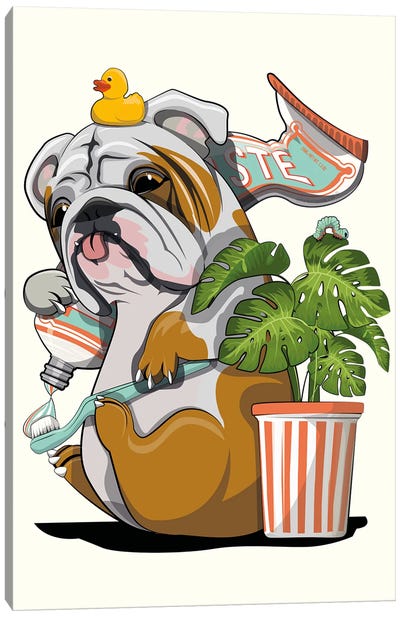 Bulldog Dog Cleaning Teeth Canvas Art Print - Bulldog Art
