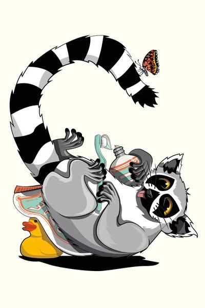 Lemurs: Ring Tailed Lemur Cleaning Teeth by WyattDesign