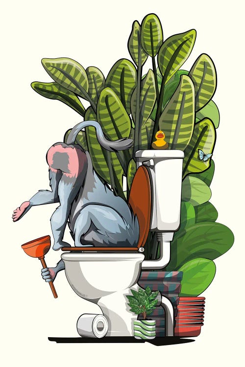 Mandrill Drinking From Toilet