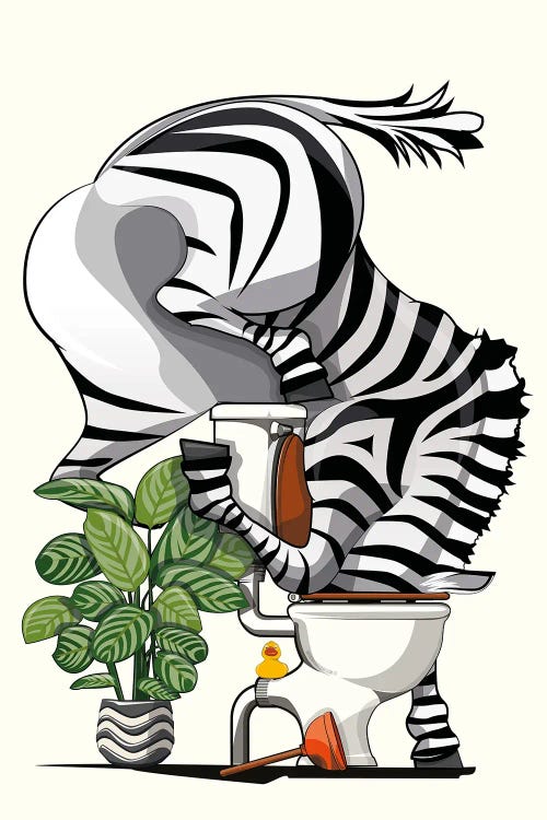 Zebra Drinking From Bathroom Toilet