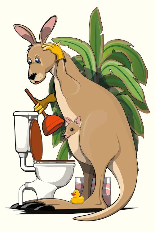 Kangaroo Cleaning The Toilet