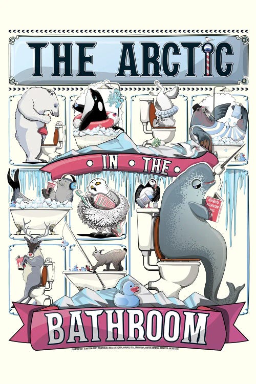 Arctic Animals In The Bathroom