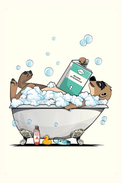 Meerkats: Meerkat In The Bathtub by WyattDesign