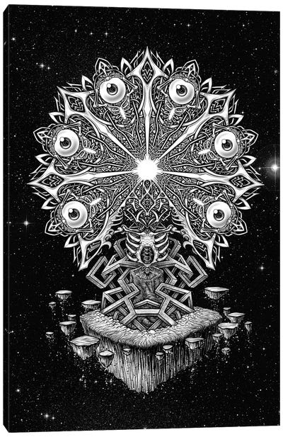 Eye Of The Universe Canvas Art Print - Skeleton Art