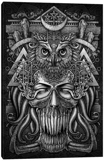 Tentacles Sorcerer Owl Canvas Art Print - Gray Art