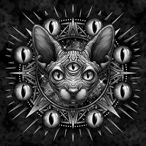 Hairless Cats: Three Eyed Sphynx Cat by Winya Sangsorn