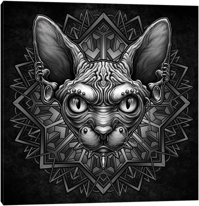 Punk Cat Canvas Art Print - Sphynx