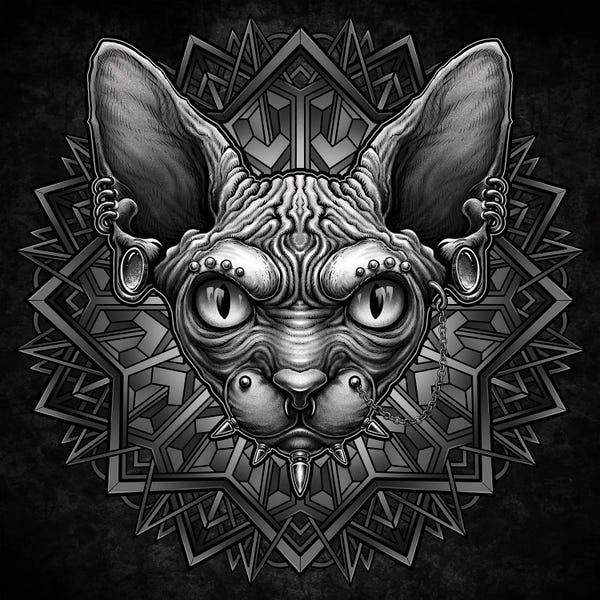 Hairless Cats: Punk Cat by Winya Sangsorn