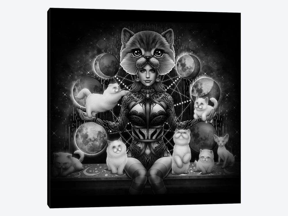 Kittens Universe by Winya Sangsorn 1-piece Canvas Print