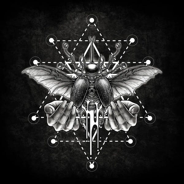 Beetles: Stag Beetle by Winya Sangsorn