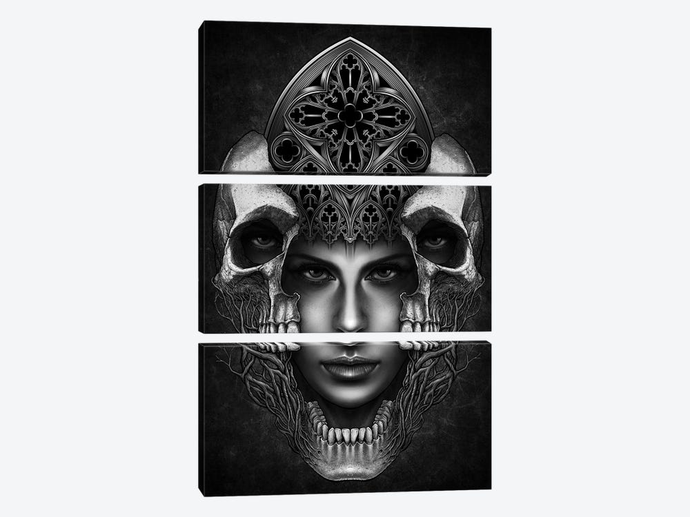 Skull Mask by Winya Sangsorn 3-piece Canvas Wall Art