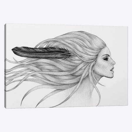 Black Feather Canvas Print #XAN45} by Anastasia Alexandrin Canvas Artwork