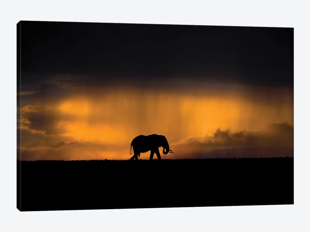Elephant In A Rain Storm At Sunset by Xavier Ortega 1-piece Art Print