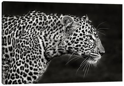 Leopard Close Up Canvas Art Print