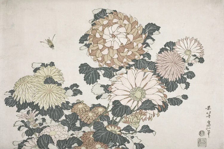 Bee And Chrysanthemums