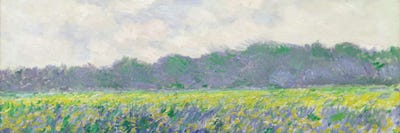 Claude Monet - Acrylic Wall Art: Field of Yellow Irises at Giverny, 1887 by Claude Monet
