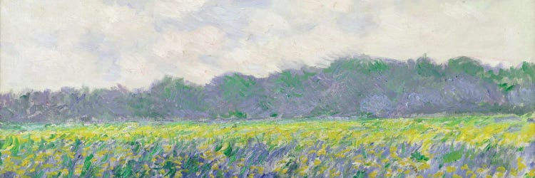 France: Field of Yellow Irises at Giverny, 1887 by Claude Monet