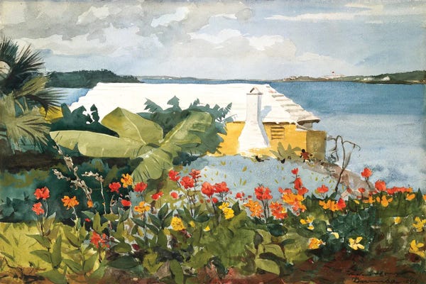 Flower Garden And Bungalow, Bermuda, 1889