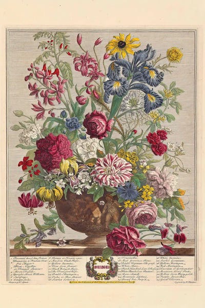 Twelve Months Of Flowers: June
