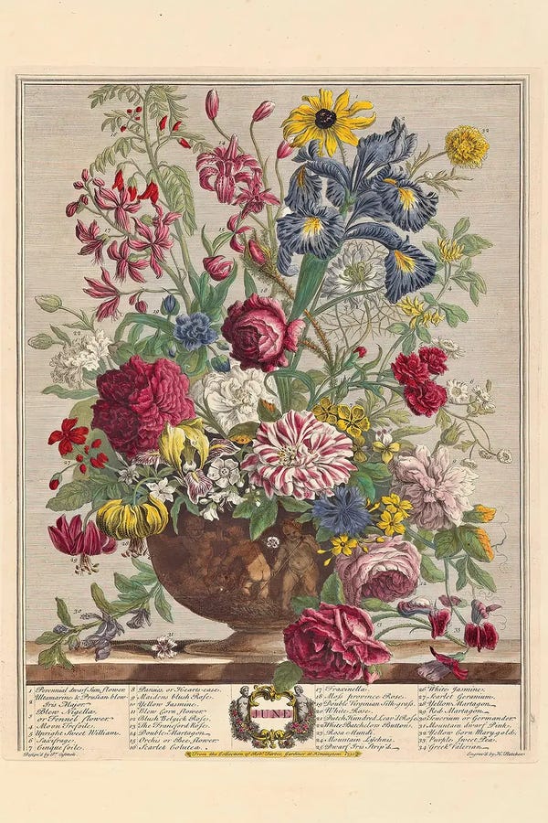 Pieter Casteels