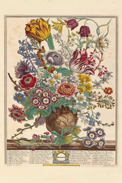 Twelve Months Of Flowers: March