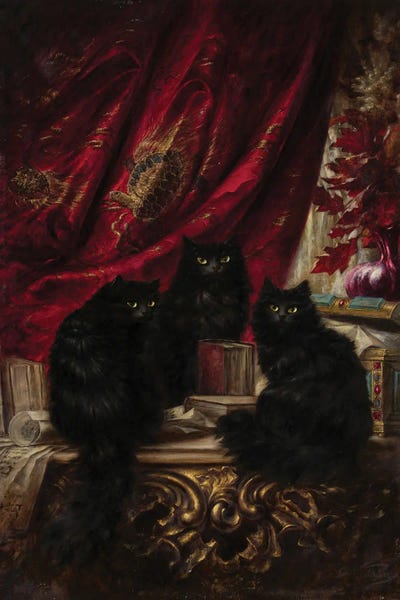 Three Black Cats