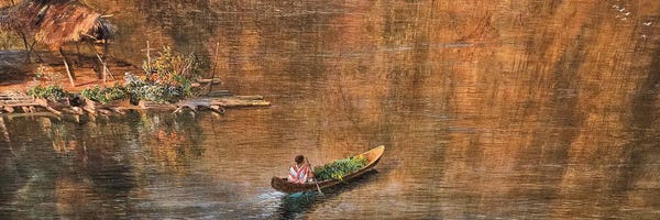 Frederic Edwin Church: Chimborazo - Canoe 1 Detail by Frederic Edwin Church