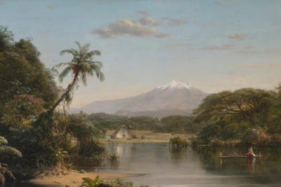 View on the Magdalena River (1857) by Frederic Edwin Church wood print