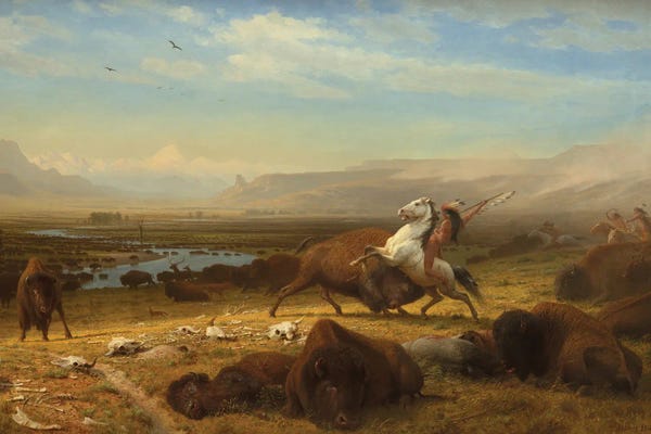 The Last Of Buffalo C Ver. II