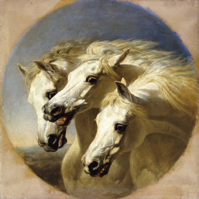 Pharaoh's Horses, 1848 by John Frederick Herring Sr canvas print