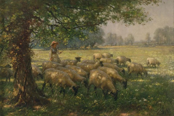 The Shepherdess
