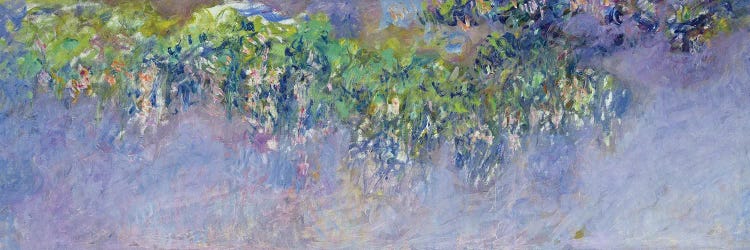 Wisteria, 1919-20